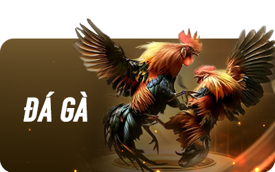 banner-da-ga