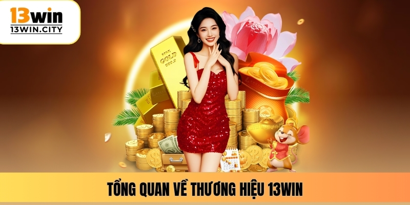 Tổng quan về thương hiệu 13WIN