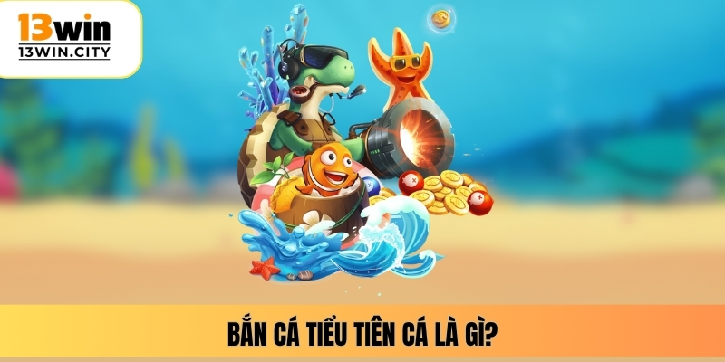 Bắn cá tiểu tiên cá là gì?