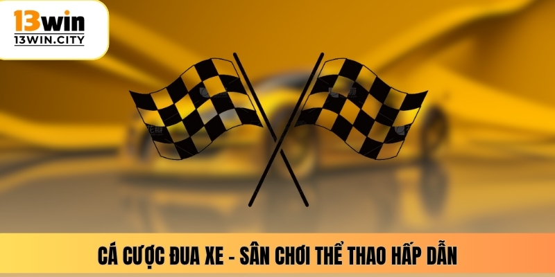 Cá cược đua xe – Sân chơi thể thao hấp dẫn 