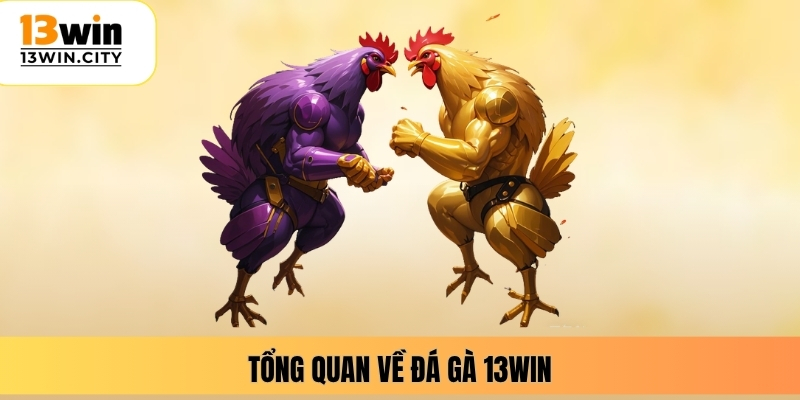 Tổng quan về đá gà 13WIN