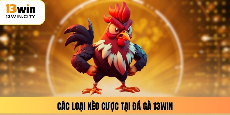 Các loại kèo cược tại đá gà 13WIN