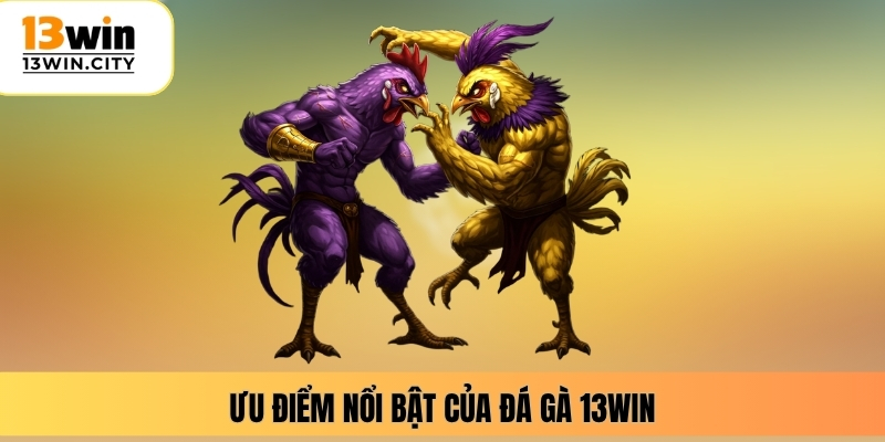 Ưu điểm nổi bật của đá gà 13WIN
