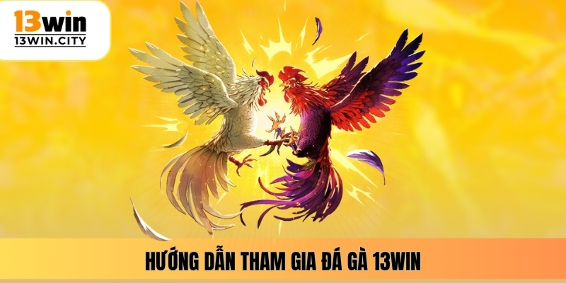 Hướng dẫn tham gia đá gà 13WIN