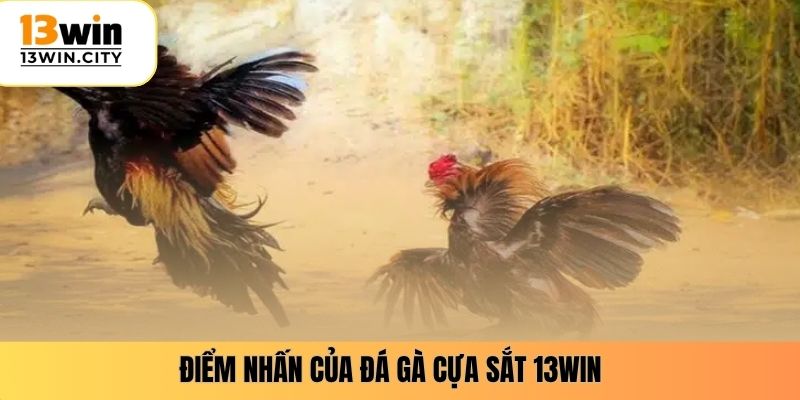 Điểm nhấn của đá gà cựa sắt 13WIN