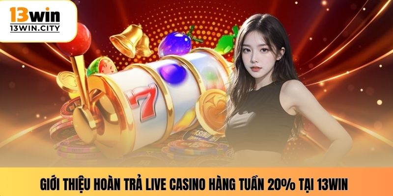 Giới thiệu hoàn trả live casino hàng tuần 20% tại 13WIN