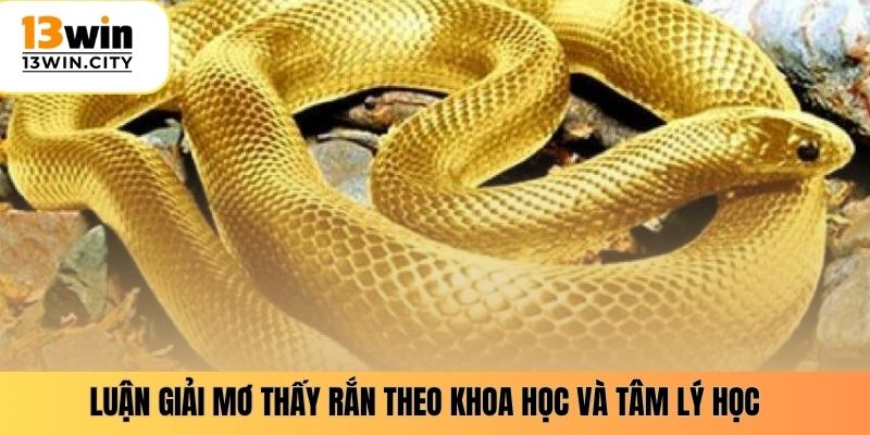 Luận giải mơ thấy rắn theo khoa học và tâm lý học
