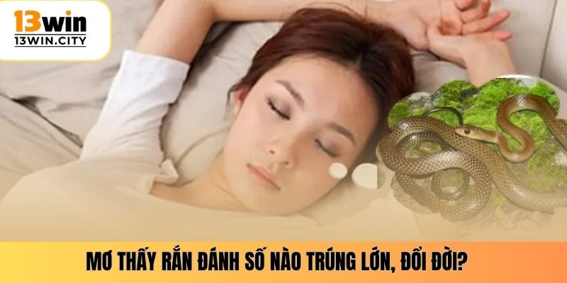 Mơ thấy rắn đánh số nào trúng lớn, đổi đời?