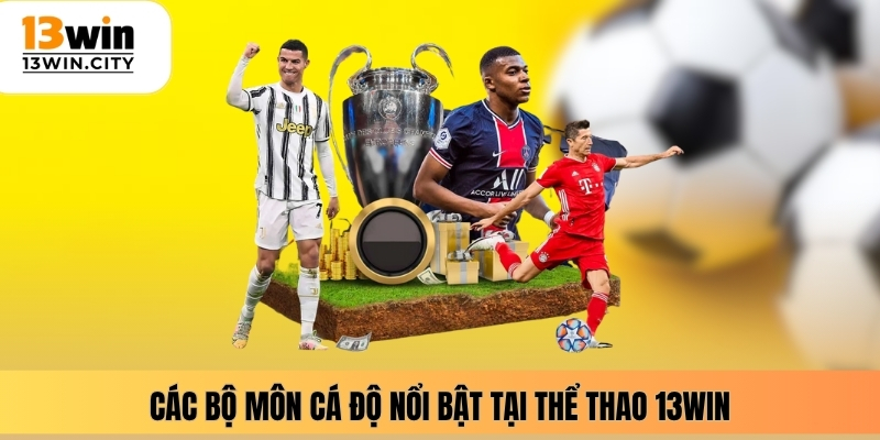Các bộ môn cá độ nổi bật tại thể thao 13WIN